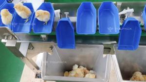 China Custom Scallop Abalone Chicken Weight Sorting Machine Automatic Fruit Dates Grading Machine on sale