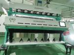 Wenyao Coffee Bean Hazelnut Cardamom Processing Colour Sorting Machine Factory