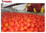 2t / H Automated Tomato Paste Processing Line Customized Dimension 56KW