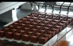 CCD Visual Two Component Potting and Dispensing Machine with Customization
