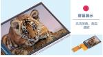 300cd/M2 2 Inch TFT Display , ST7789V IC TFT LCD Touch Screen