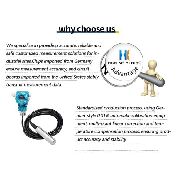 Hank Diffusion Silicon Pressure Sensor Pressure Meter LCD Digital 2088 Series Explosion-Proof Pressure Transmitter