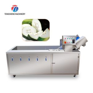 China Canteens Turbidity Reduce Fruit And Vegetable Washing Machine Sediment Discharge wholesale