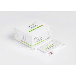 60uL Plasma Serum Ferritin Test Kit Immunofluorescence Chromatography