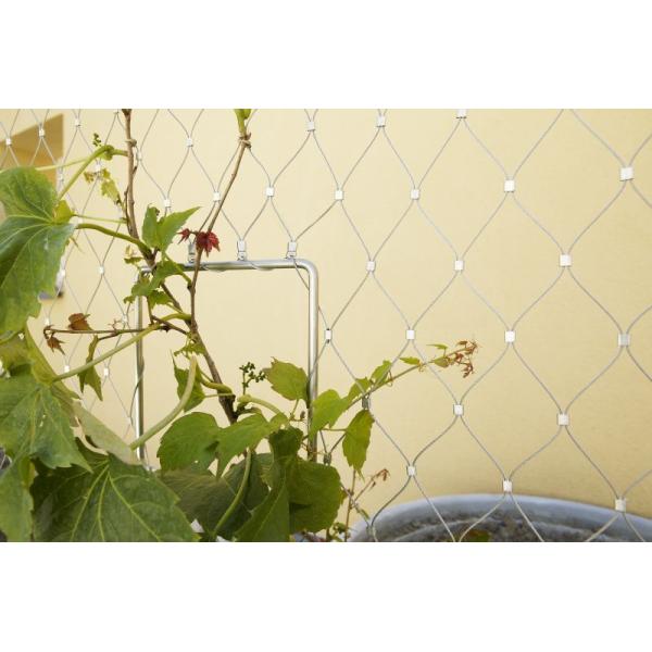 Architectural Facade Wire Rope Plant Trellis Climbing Support Yard Decoration
