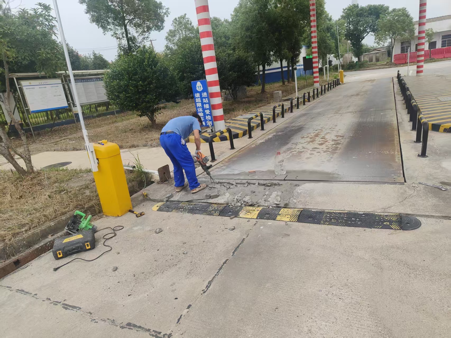 60mm Sensor Width Vehicle Identification System with ≥99% Discrimination