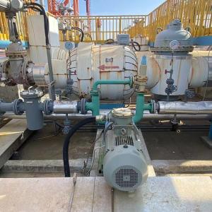 China Cast Iron Crude Oil Industrial Lobe Pump Multipurpose 430 Rpm wholesale