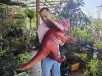 Red Baby Customization Dino Hand Puppet For Amusement Park