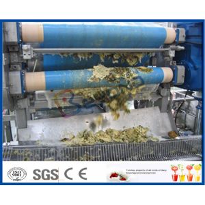 Stainless Steel Automatic CIP Cleaning Pineapple Processing Line with Aseptic