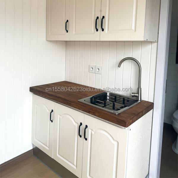 Flat Pack Container EU Customized Modern Luxury 20ft Prefabricated Wooden House with Steel Structure Garden Prefab in Mid-Century Modern Design Style