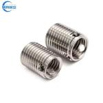 Common Used Thread Metric Thread Sizes Self Tapping Screw Bushing Slotted Type
