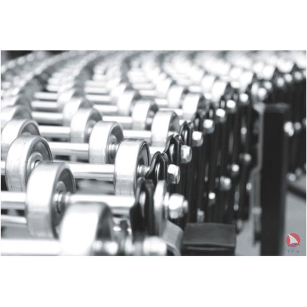 Flexible Crossed galvanized Steel Skate Wheel Conveyor
