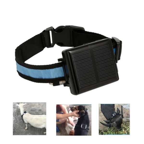 Quality Solar Powered GPS Real Time Wireless Cattle Tracker Anti - Remove Alarm for sale