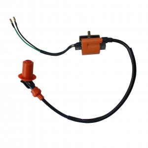 China 125cc ATV Four Wheelers Parts Ignition Coil Lightweight High Performance on sale