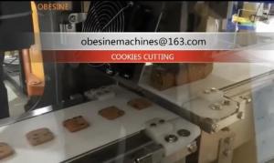 China Hard cookies Moulding  Machine , Biscuits Making machine , pancakes machine,  Cake machines, cookies depostior wholesale