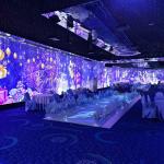 Customized Outdoor Forest 3d Mapping Interactive Projector Immersive Visual