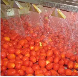 China Automatic Tomato Paste Processing Line High Speed wholesale