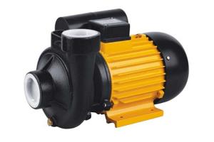China HOUSE USE SMALL ELECTRIC MOTOR DRIVEN WATER PUMP DKM SERIES ONE YEAR WARRANTY wholesale