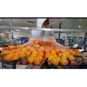 China Automatic Orange Fruit And Vegetable Packaging Machine With Net wholesale