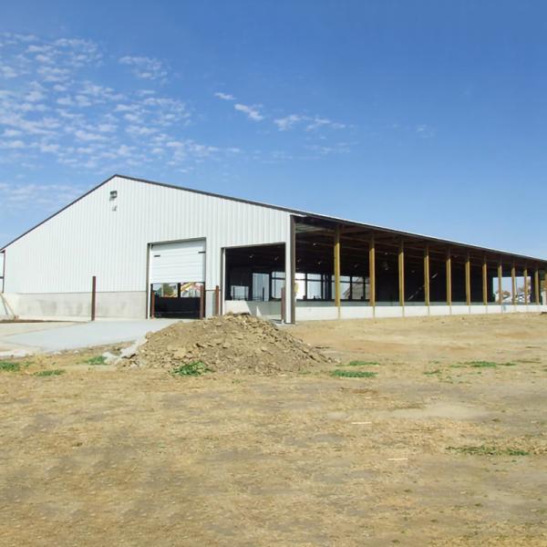 Ventilation Steel Structure Cow Shed , Durable Steel Livestock Shelter For Dairy Farm