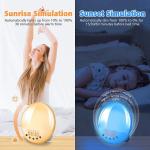 RoHS 7 Colors Smart WiFi Wake Up Alarm Clock Light Tuya APP Works With Alexa