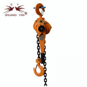 China 1 Ton Chain Block Lifting Equipment Running On Roller Bearings wholesale