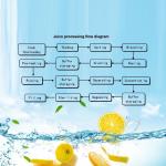 10TPH Automatic Orange Juice Extract Orange Processing Line For Juice Making