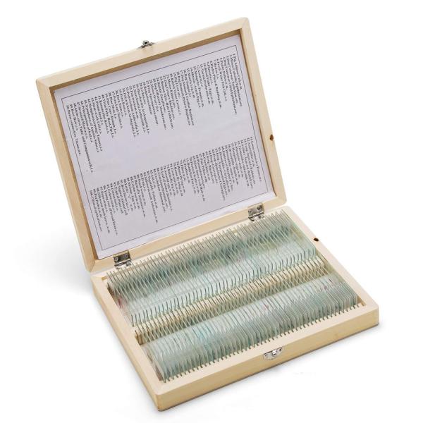 Quality Prepared Higher Education 100pcs Microscope Slides Set For Students for sale