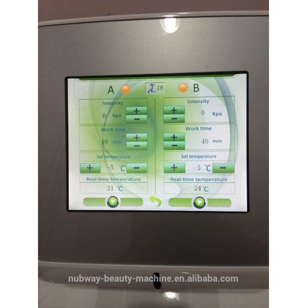 Cryolipolysis slimming machine 2 handles working at same time with high quality