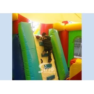 Lead Free PVC Tarpaulin Inflatable Bouncy Castles , Rainbow Castle Slide