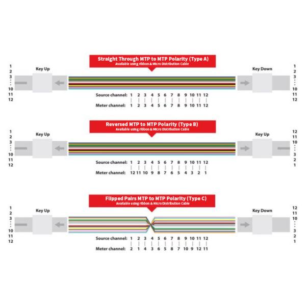 12 Fibers MTP Female To MTP Female OM3 3.0mm LSZH MTP Patch Cord Custom Meters
