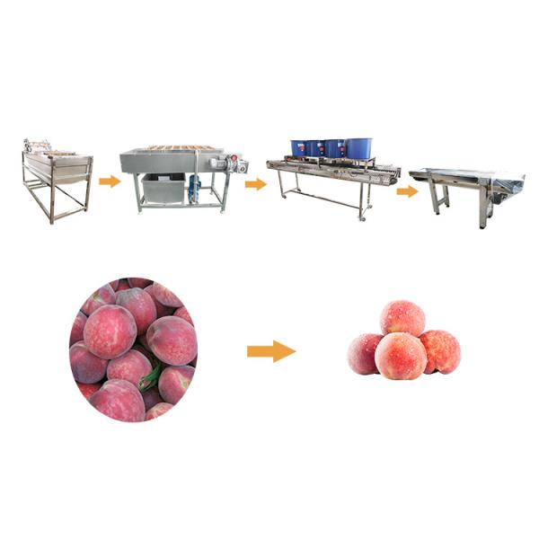 Quality Hot selling Multifunctional Automation Cleaning Processing Machine by Huafood for sale