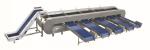 SUS304 Citrus Roller Sorting Machine For Fruits And Vegetables Processing Line