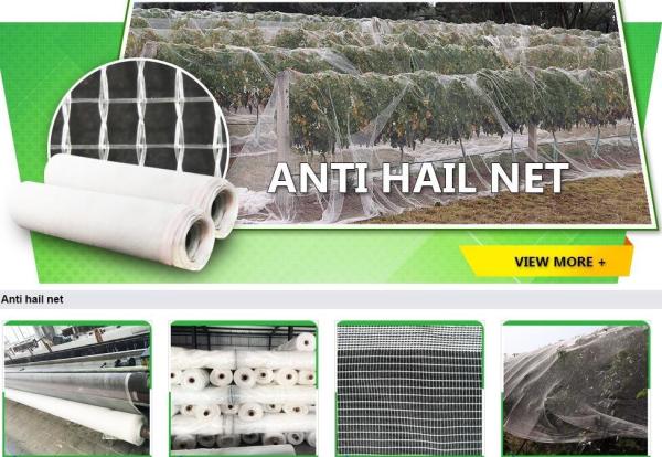 Quality bird protection net, net trap,bird net,anti-bird net,mist net,pe tarpaulin,tarpaulin roll,shade net,mesh net,monoflament for sale