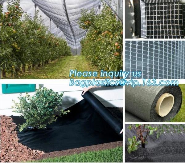 agricultural cheap green house,home garden green house, small garden house,durable waterproof aluminium winter garden
