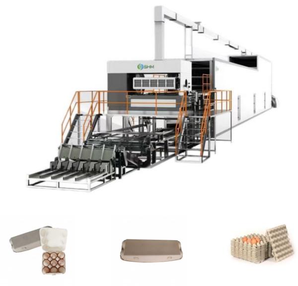 Quality High Speed Paper Egg Tray Making Machine Automatic Molded Pulp Machine for sale