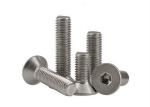 Fully Threaded Hexagon Socket Countersunk Head Cap Screws For Mechanical Machine
