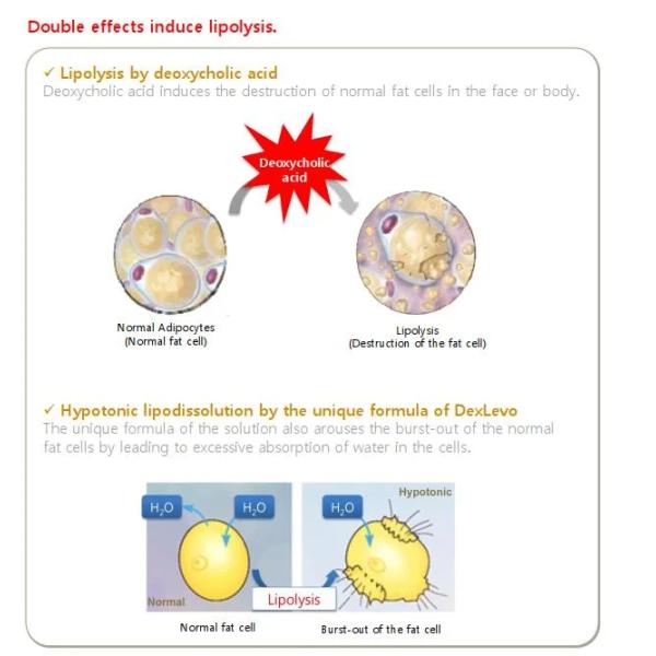 Deoxycholate Kabelline Lipolysis Injection Body Slimming Injection