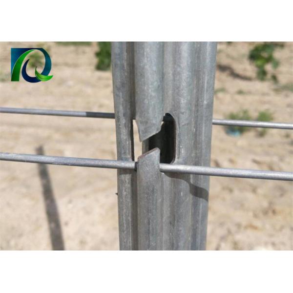 Agricultural Customized Vineyard Trellis Posts , Grape Support Trellis Poles