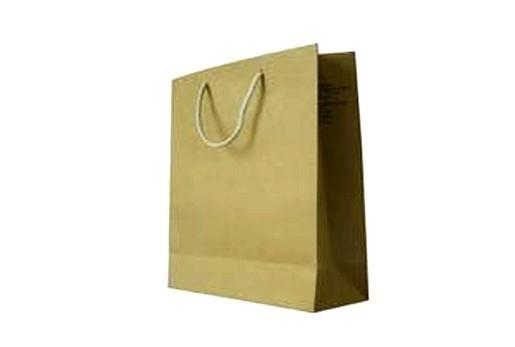 Quality Cotton Cold Personalized Paper Bags / Shopping Paper Bag for sale