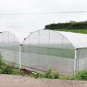 China Steel Structure Polythene Grow Tunnel For Tomato And Cucumber wholesale