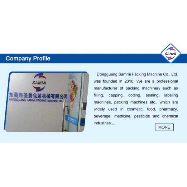 Hot Ink Roller Stamp Coder Machine for Batch Expiry Date Printing