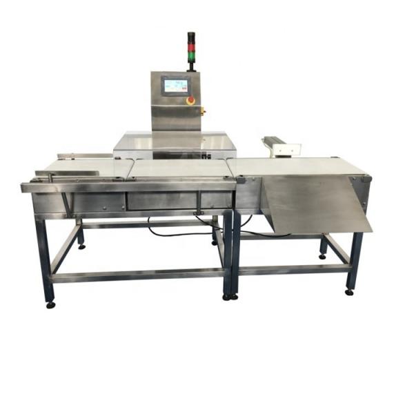 Quality 0.2g Scale Interval In Line Checkweigher With Rejector for sale