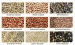 Mini Multi Function Grain Sorting Machine For Grain Cereal