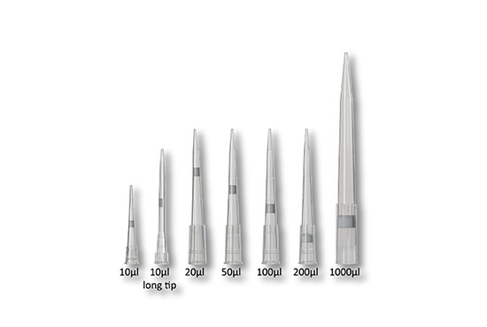 Medical Device Molding Ultra Precise Multi Cavity Micropipette Molds plastic