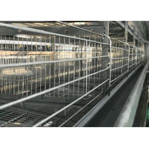 China Energy Saving Chicken Watering Devices / Poultry Automatic Drinker on sale