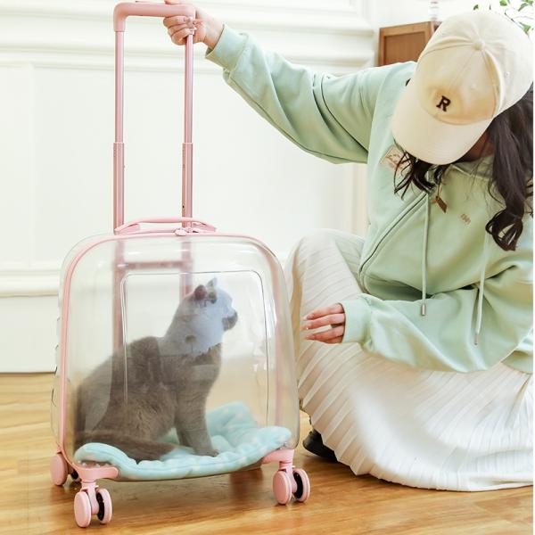 PC Material Clear Capsule Pet Travel Bag with Trolley Wheel Large Capacity Cat Dog Luggage Portable Transparent Holder