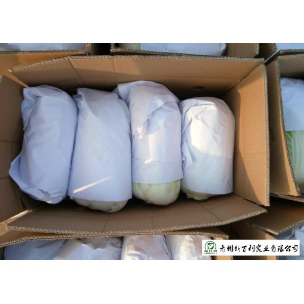Common Chinese Long Cabbage / Ball Shape Flat Dutch Cabbage Vegetable