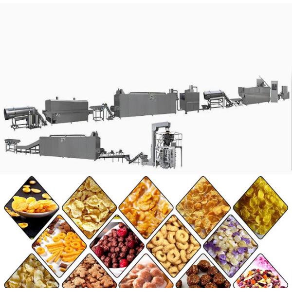 240 to 320kg/h Bulk Corn Flakes Processing Line For Cereals Snacks Maize Flakes Making Machine