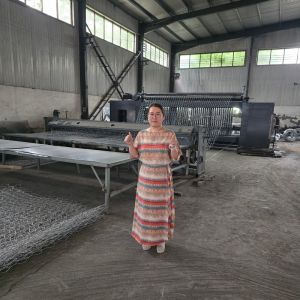 China Heavy-Duty Galvanized Gabion Mesh Fence for Retaining Walls wholesale